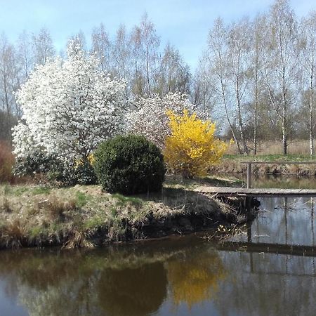 Marka Pokoje Goscinne Mielno  Bagian luar foto