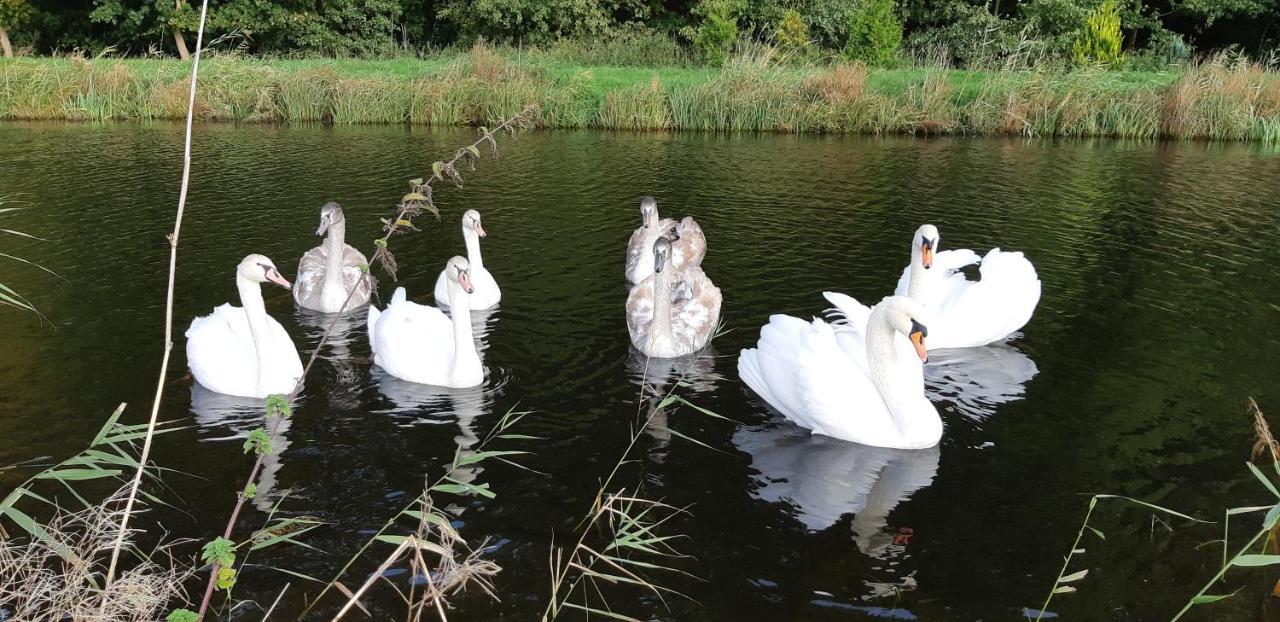 Marka Pokoje Goscinne Mielno  Bagian luar foto
