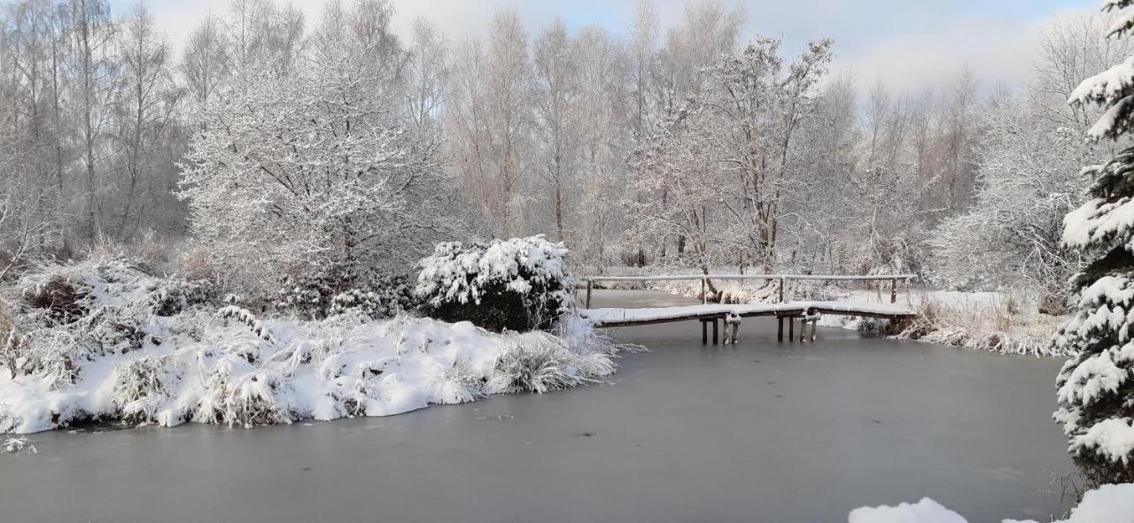 Marka Pokoje Goscinne Mielno  Bagian luar foto