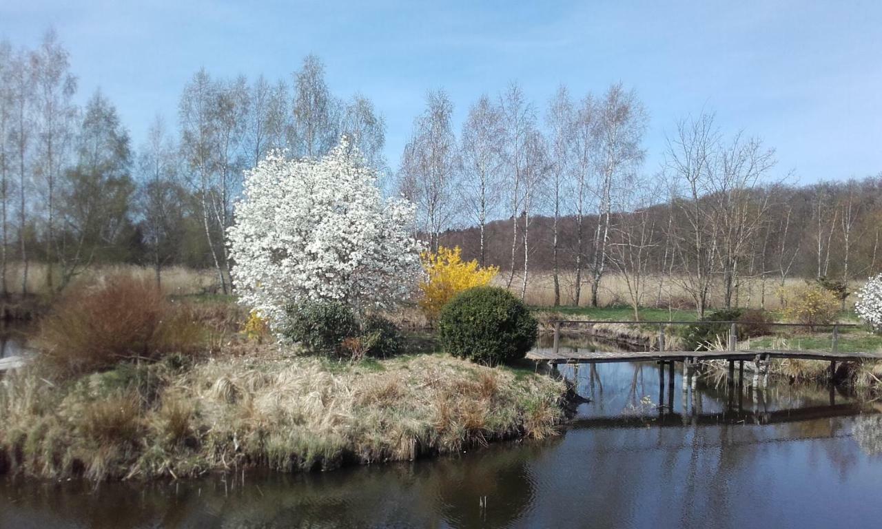Marka Pokoje Goscinne Mielno  Bagian luar foto