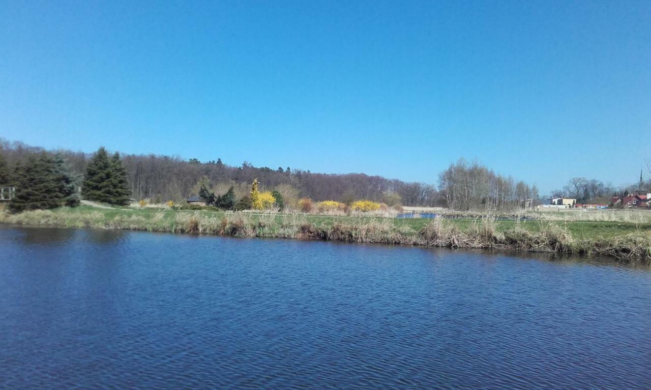 Marka Pokoje Goscinne Mielno  Bagian luar foto
