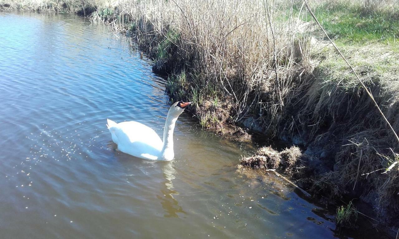 Marka Pokoje Goscinne Mielno  Bagian luar foto